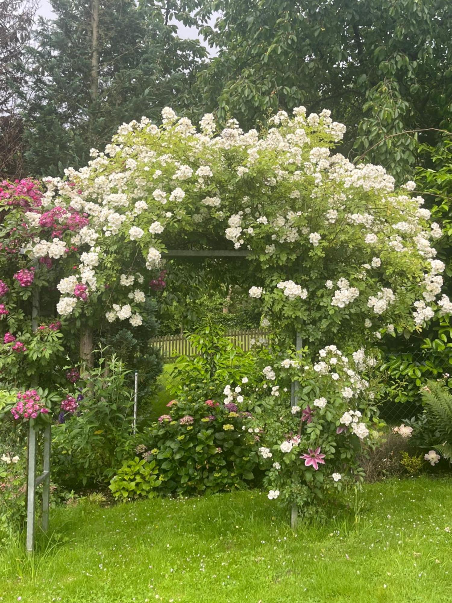 Apartment Kleine Flora - *