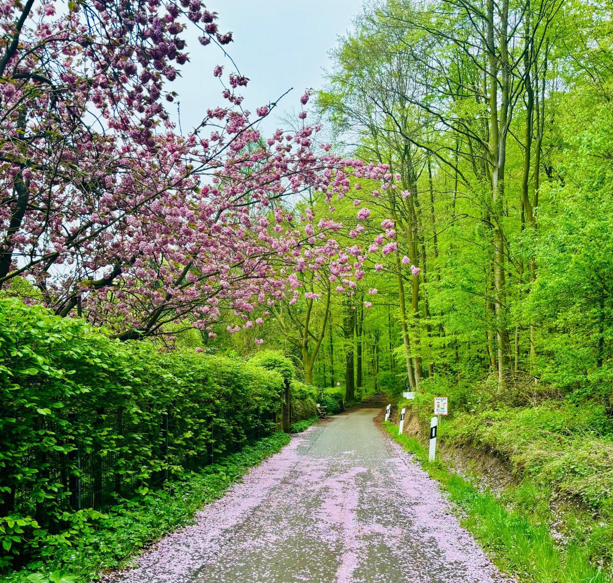 Kleine Flora -